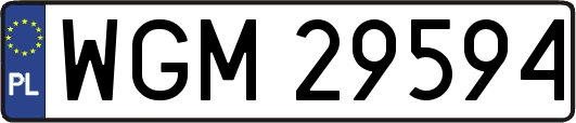 WGM29594