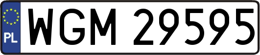 WGM29595