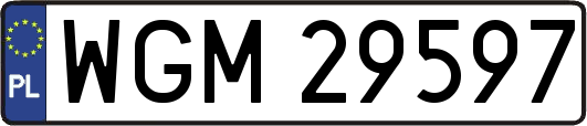 WGM29597