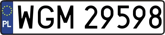 WGM29598