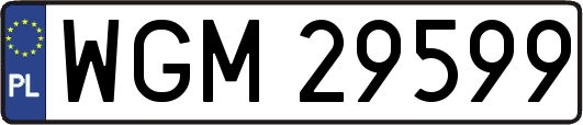WGM29599