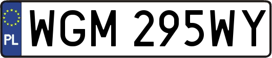 WGM295WY