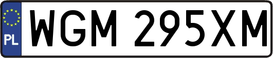 WGM295XM