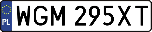 WGM295XT