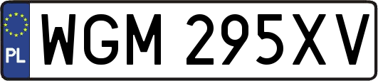 WGM295XV