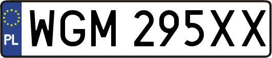 WGM295XX