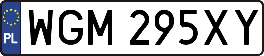 WGM295XY