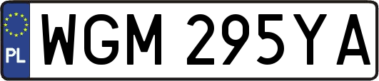 WGM295YA