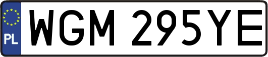 WGM295YE