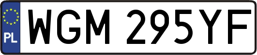 WGM295YF