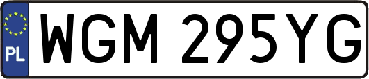 WGM295YG