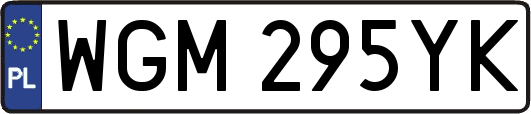 WGM295YK