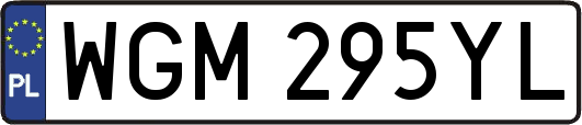 WGM295YL