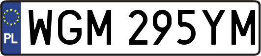 WGM295YM