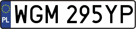 WGM295YP