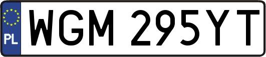 WGM295YT