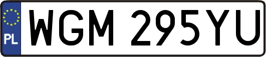WGM295YU