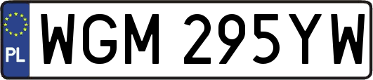 WGM295YW