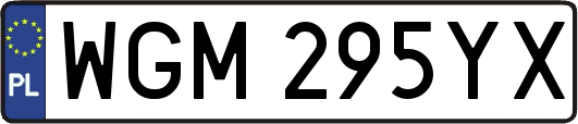WGM295YX