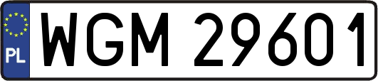 WGM29601