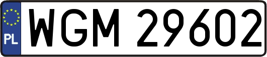 WGM29602