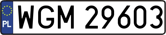 WGM29603