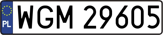 WGM29605