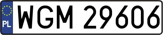 WGM29606