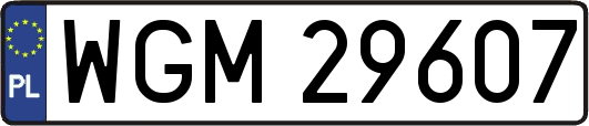 WGM29607