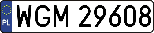 WGM29608