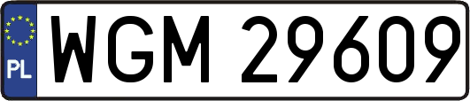 WGM29609