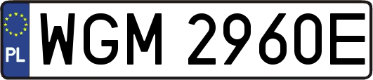 WGM2960E