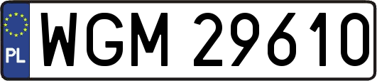WGM29610