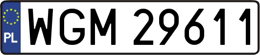 WGM29611