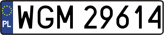 WGM29614