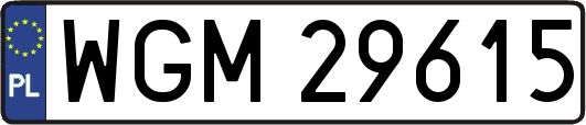 WGM29615