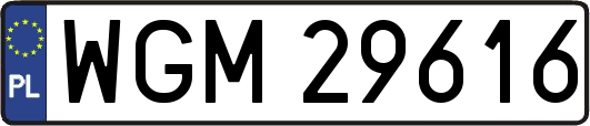 WGM29616
