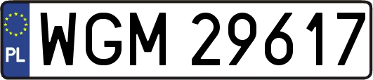 WGM29617