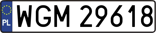 WGM29618