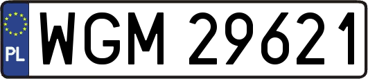 WGM29621