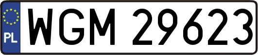 WGM29623