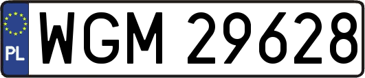 WGM29628