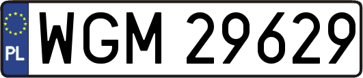 WGM29629