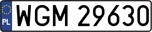 WGM29630
