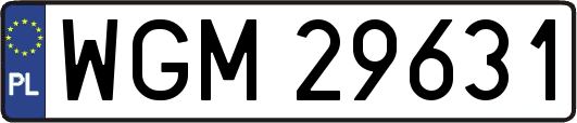 WGM29631
