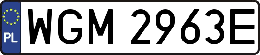 WGM2963E