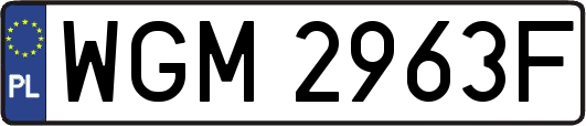 WGM2963F