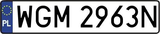 WGM2963N