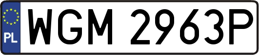WGM2963P