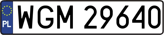 WGM29640
